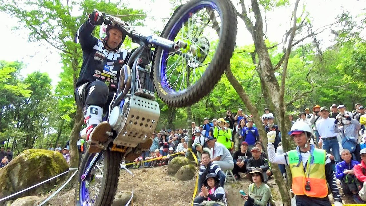 Nozaki 2019